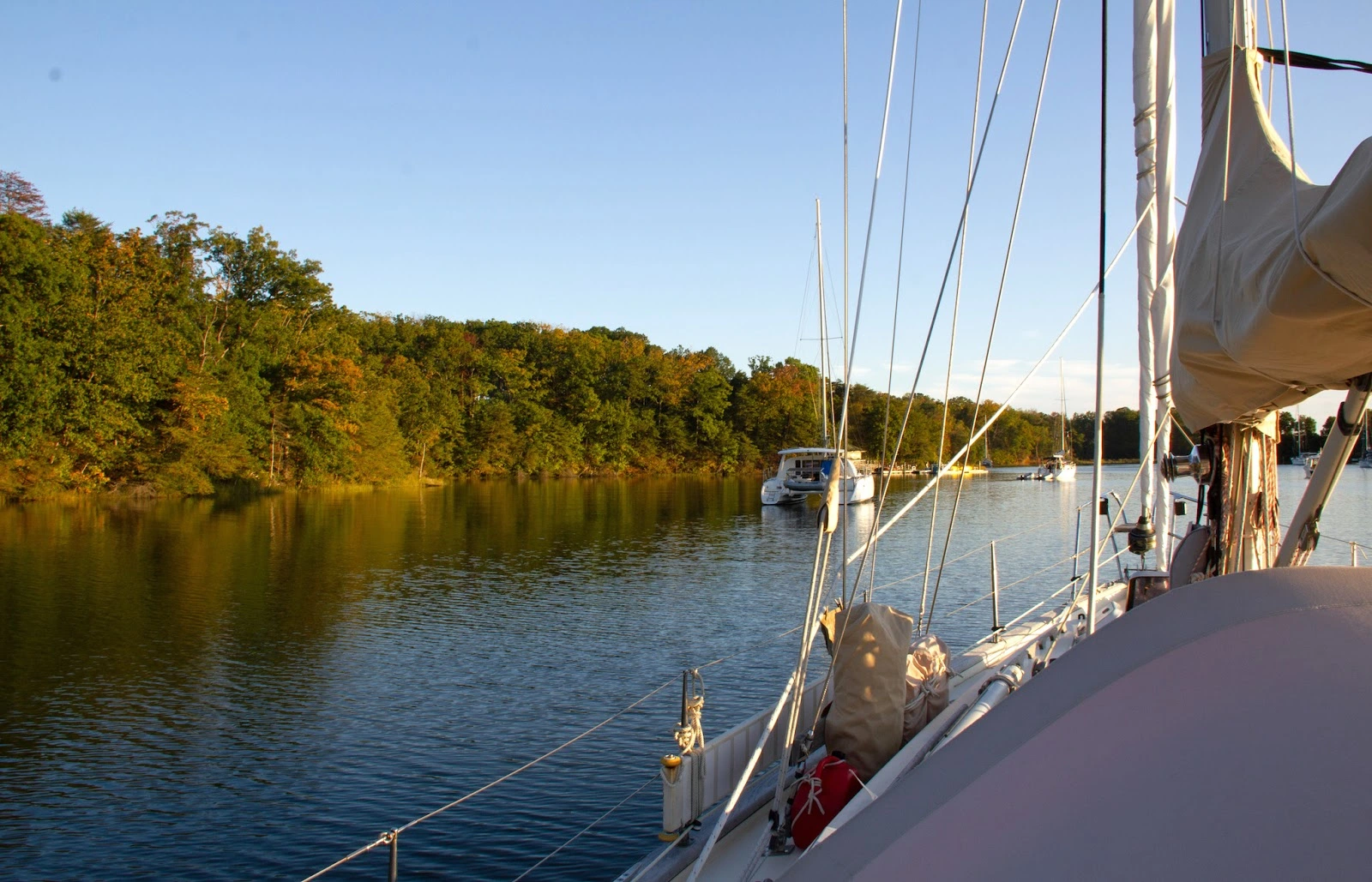 Peaceful day at Harness Creek near Pier 7 Marina&mdash;perfect for boating, kayaking, swimming, and wildlife watching with easy access to Quiet Waters Park.